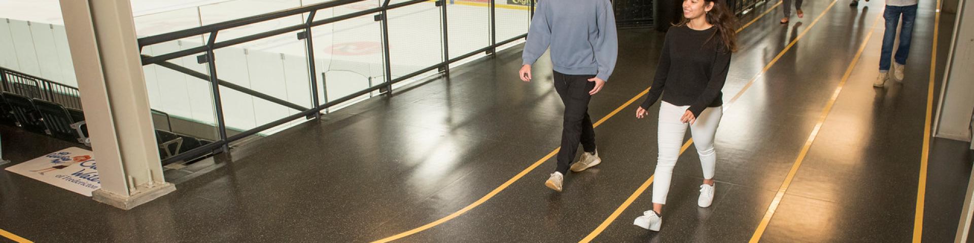 Group walking at Grant Harvey Walking Track